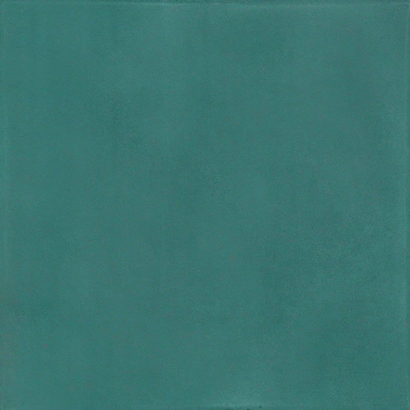 Carreau L Vert Aloe Vera