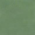 Olivo