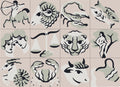 Imagier Zodiac Rose Poudré