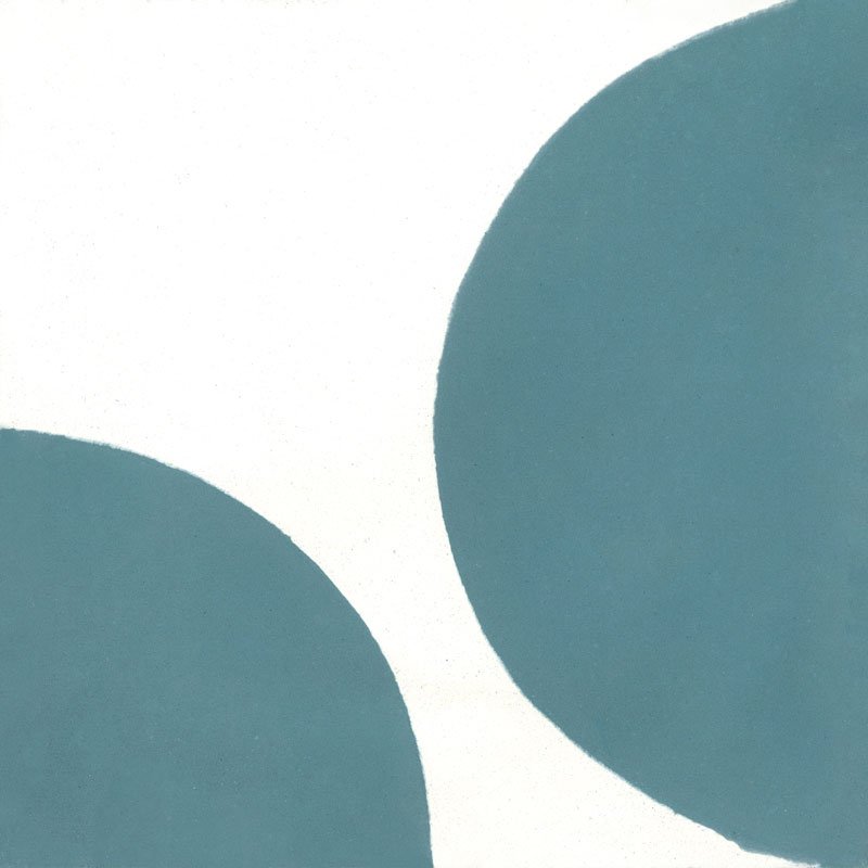 Carreau de Ciment Congruence Lait de Chaux Sim.PL